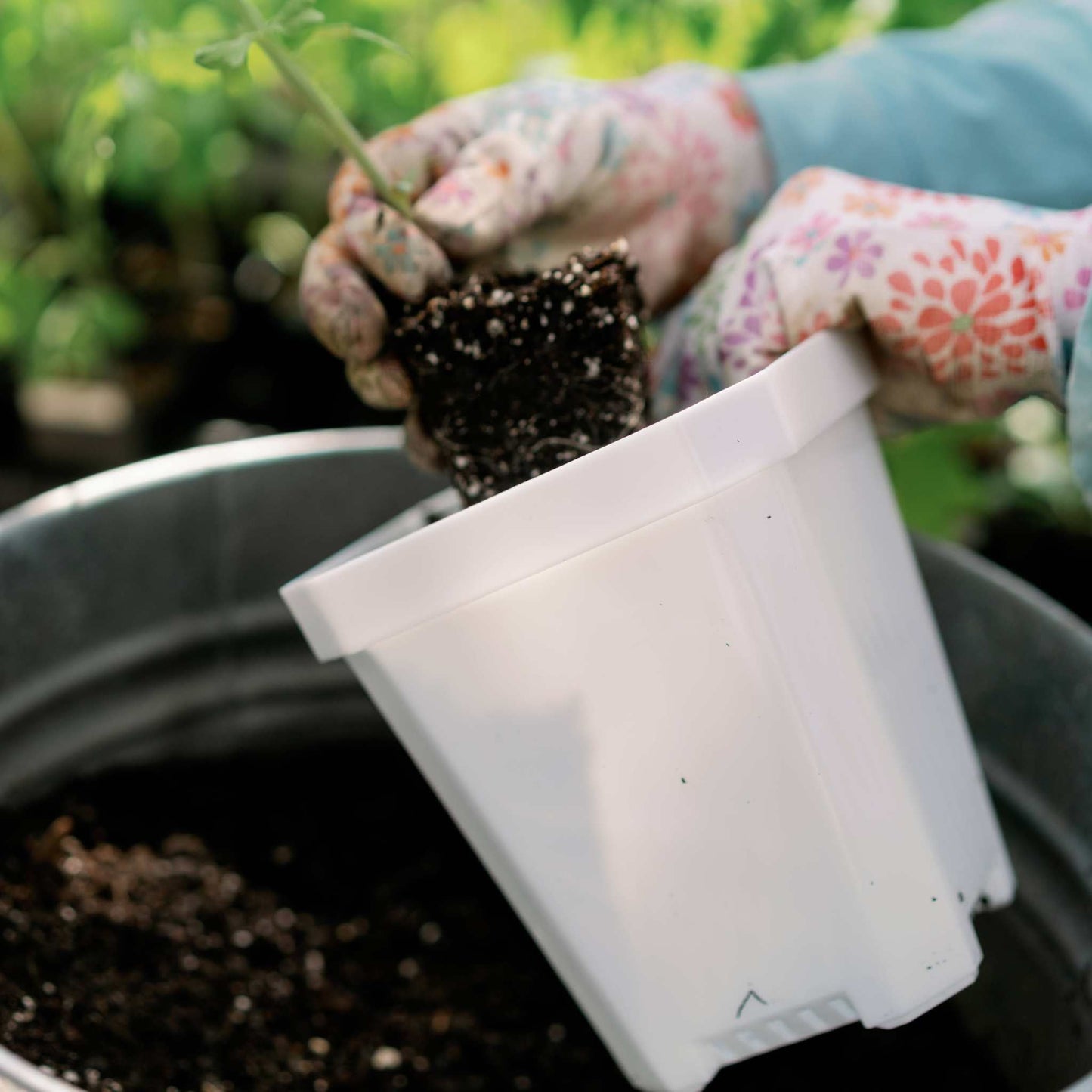 5" Reusable Seed Starting Pots with Insert - Tampa Home & Garden Store