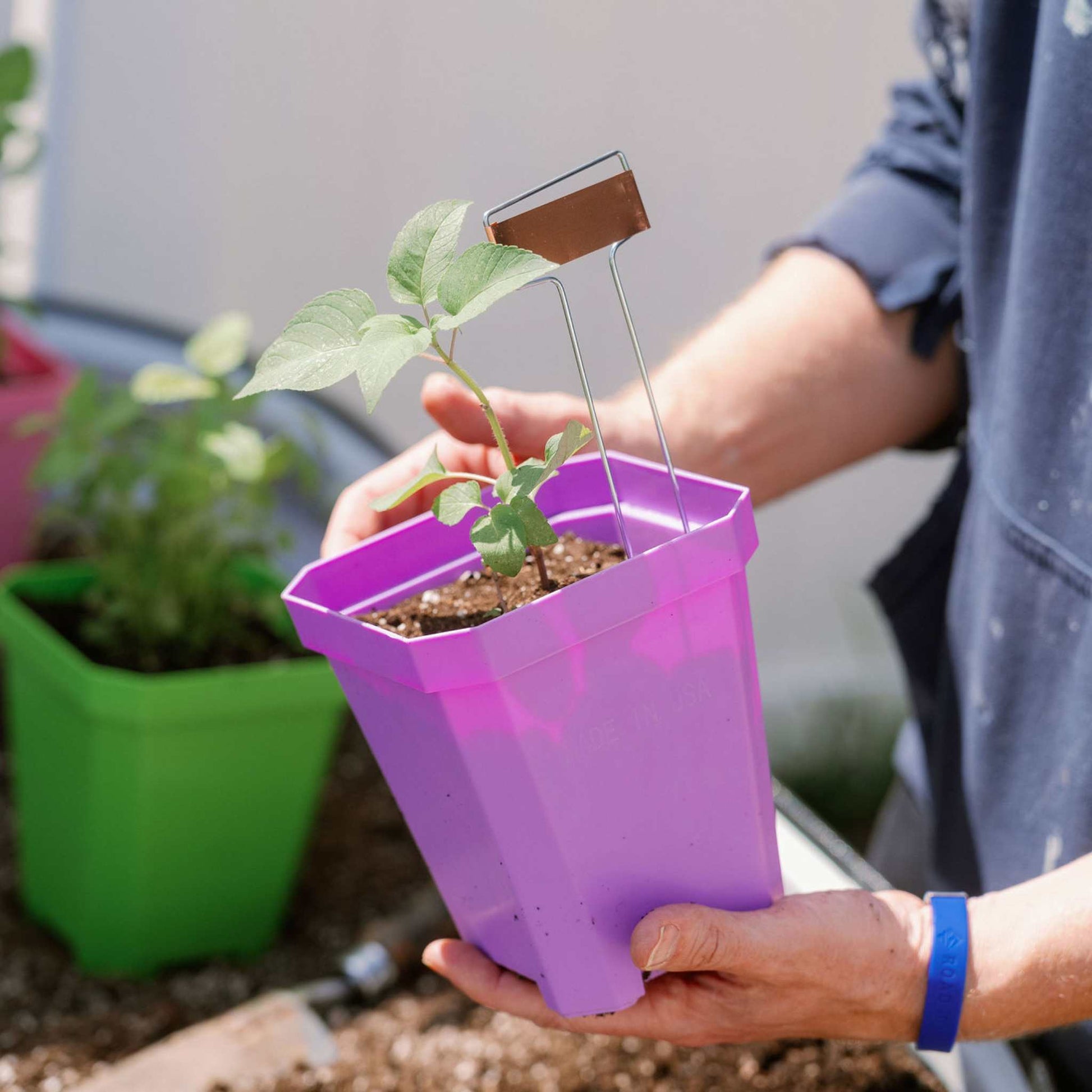 5" Reusable Seed Starting Pots with Insert - Tampa Home & Garden Store