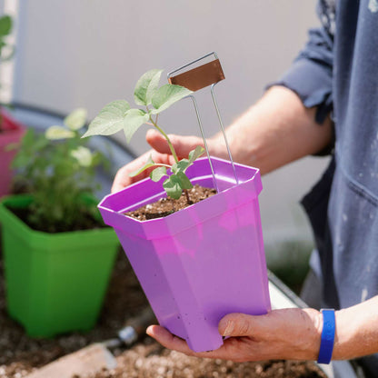 5" Reusable Seed Starting Pots with Insert - Tampa Home & Garden Store