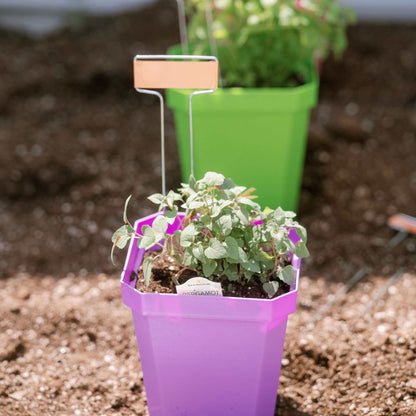 5" Reusable Seed Starting Pots with Insert - Tampa Home & Garden Store