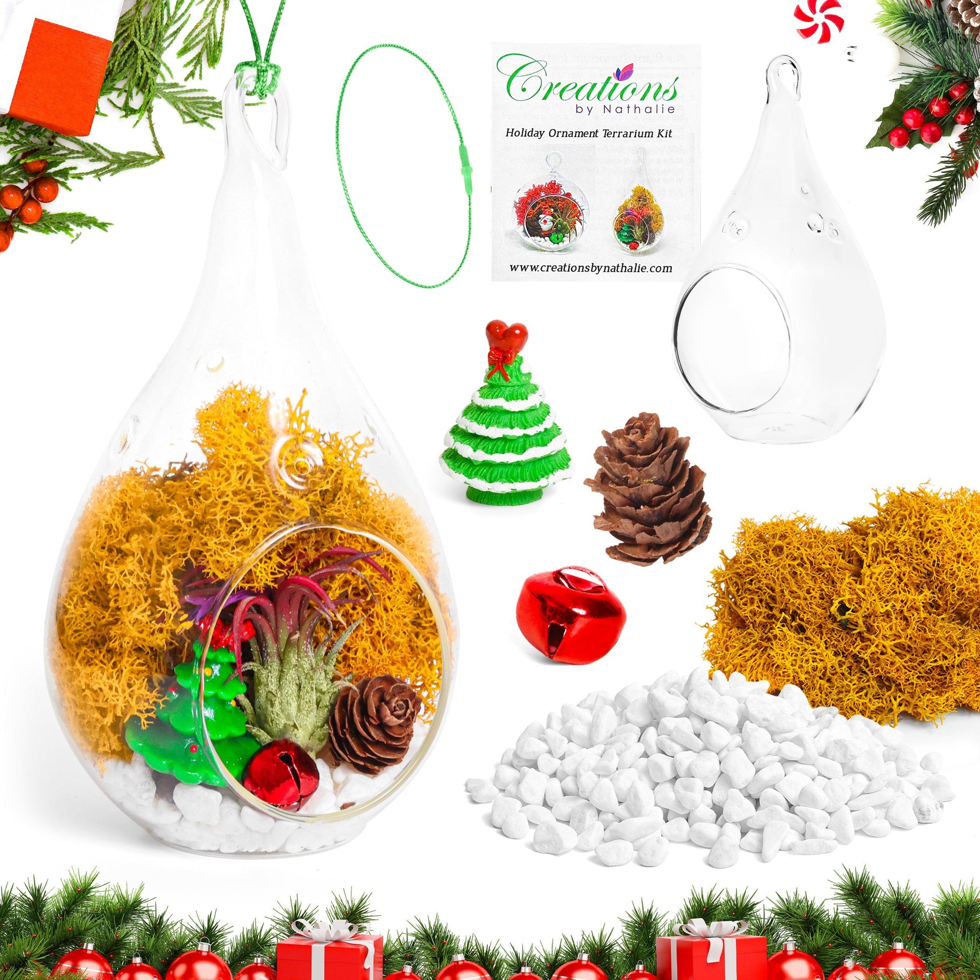 5" Teardrop Holiday Ornament Terrarium Kit | Glass - Tampa soil911.com