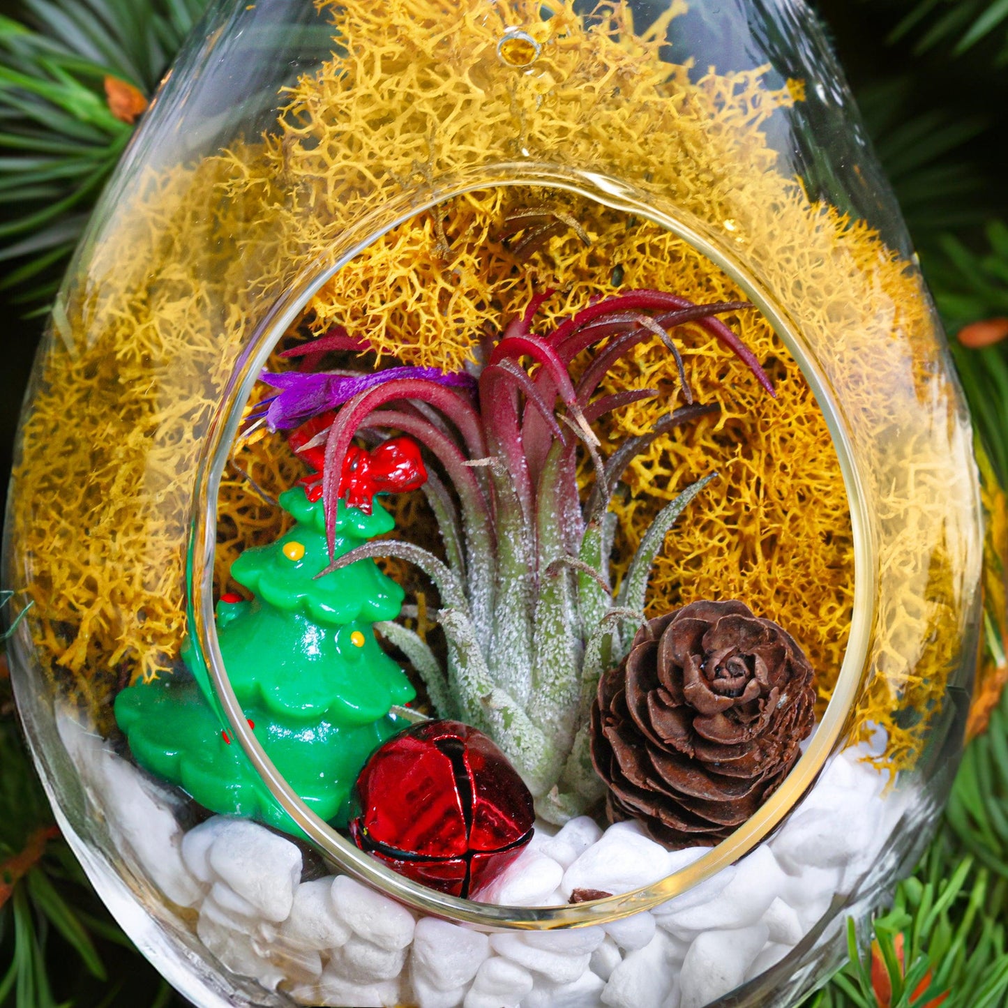 5" Teardrop Holiday Ornament Terrarium Kit | Glass - Tampa soil911.com