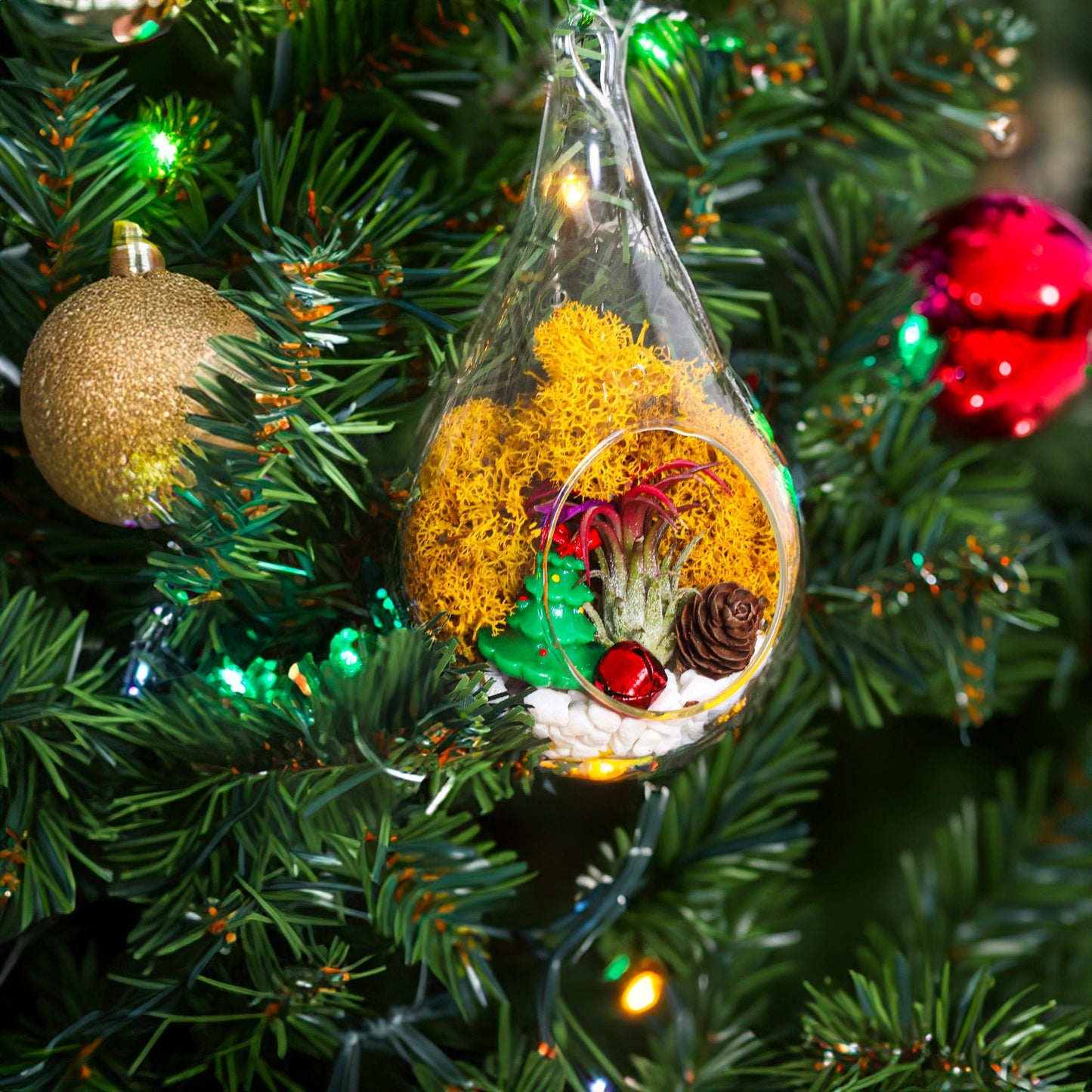 5" Teardrop Holiday Ornament Terrarium Kit | Glass - Tampa soil911.com