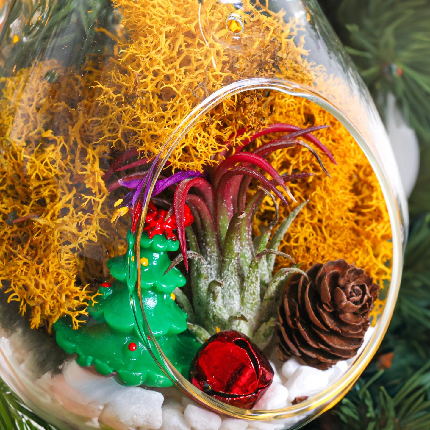 5" Teardrop Holiday Ornament Terrarium Kit | Glass