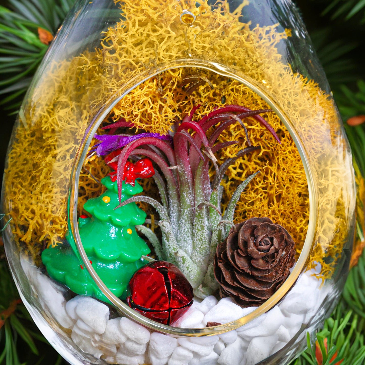 5" Teardrop Holiday Ornament Terrarium Kit | Glass