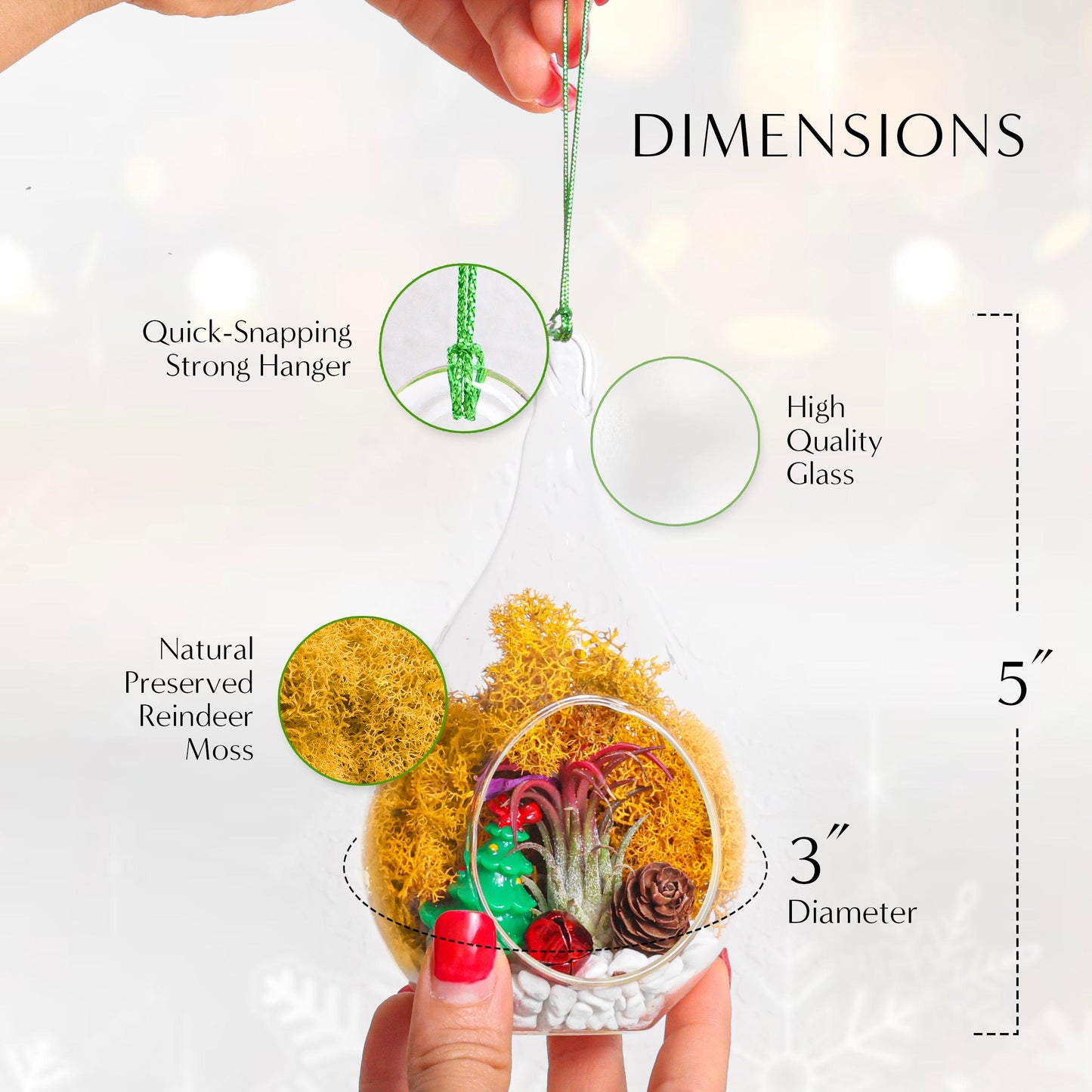 5" Teardrop Holiday Ornament Terrarium Kit | Glass