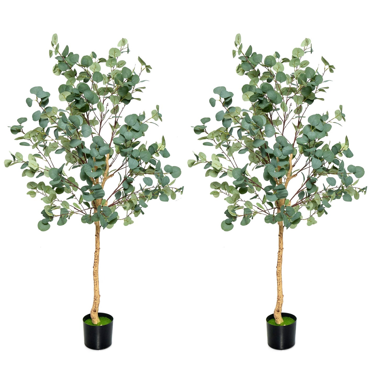 Árbol de eucalipto artificial de 5.5 pies con 517 hojas de dólar de plata - 1 paquete