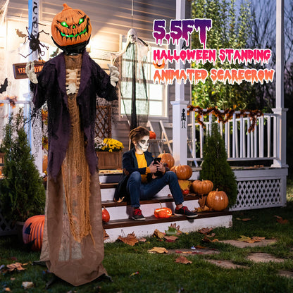 5.6 Feet Halloween Animated Standing Pumpkin Scarecrow cardboard cutout DirectDeals pumpkins on Tampa Home & Garden Store