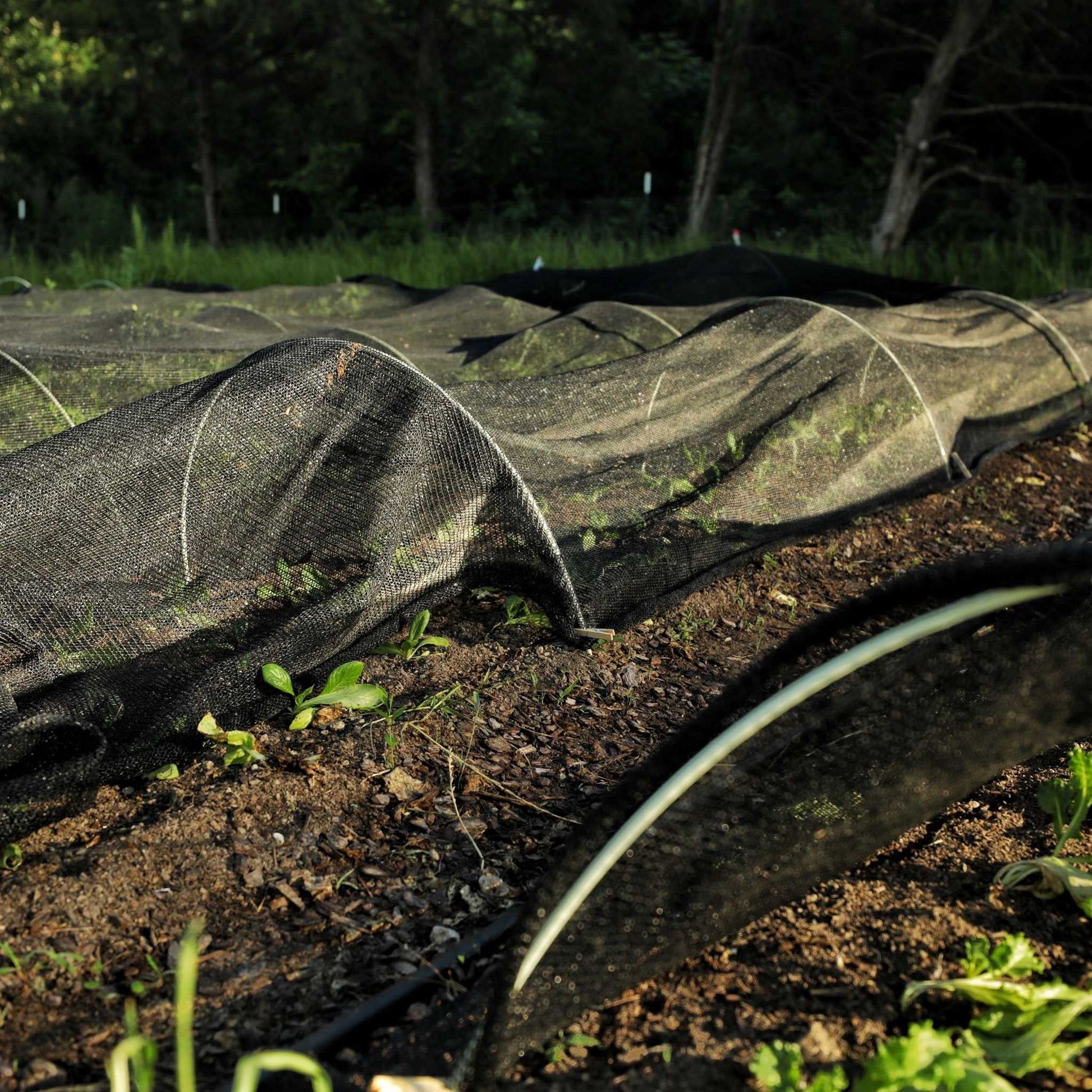 50% Black Greenhouse Shade Cloth | Black Shade Cloth - Tampa soil911.com