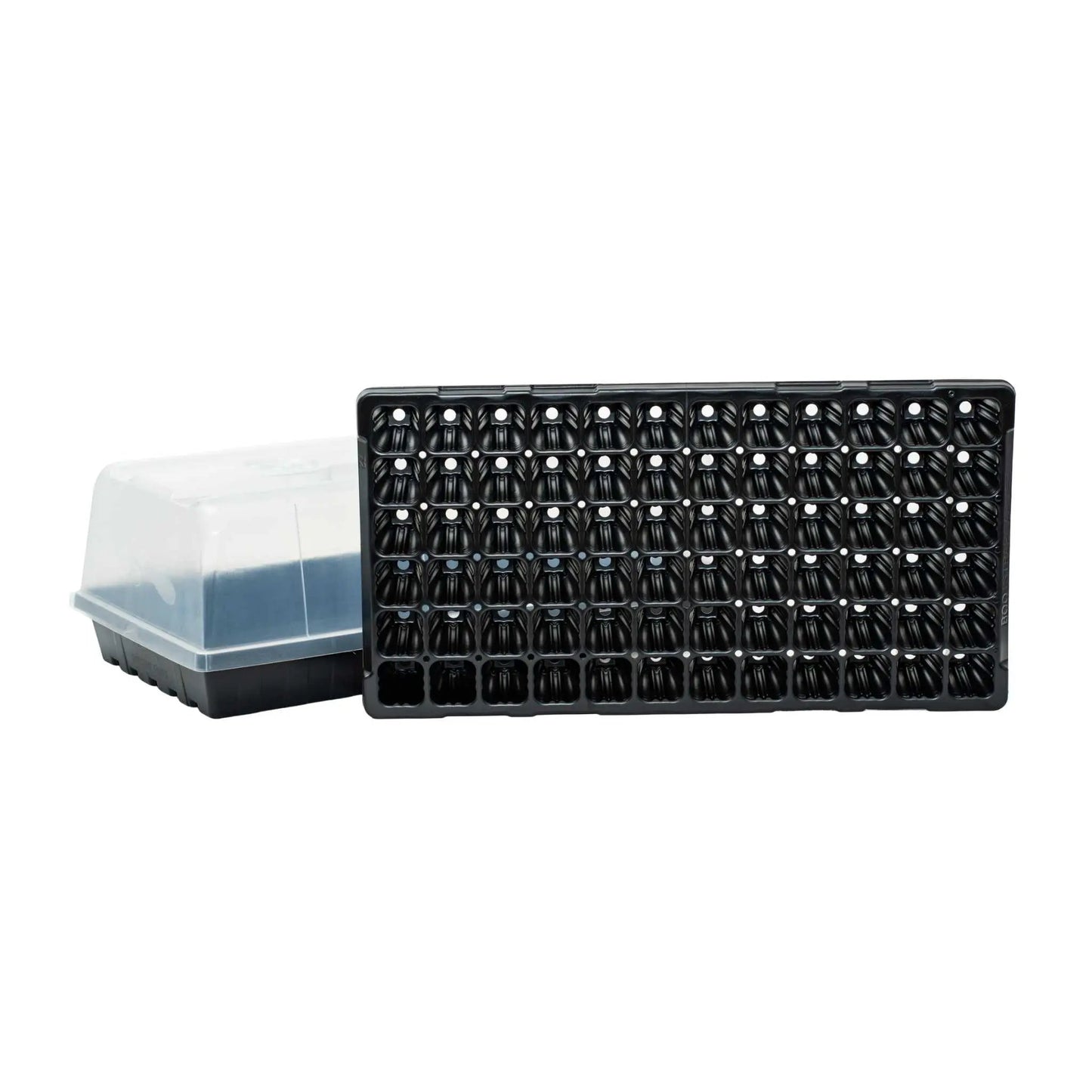50 Cell Seed Starter Kit - Tampa soil911.com