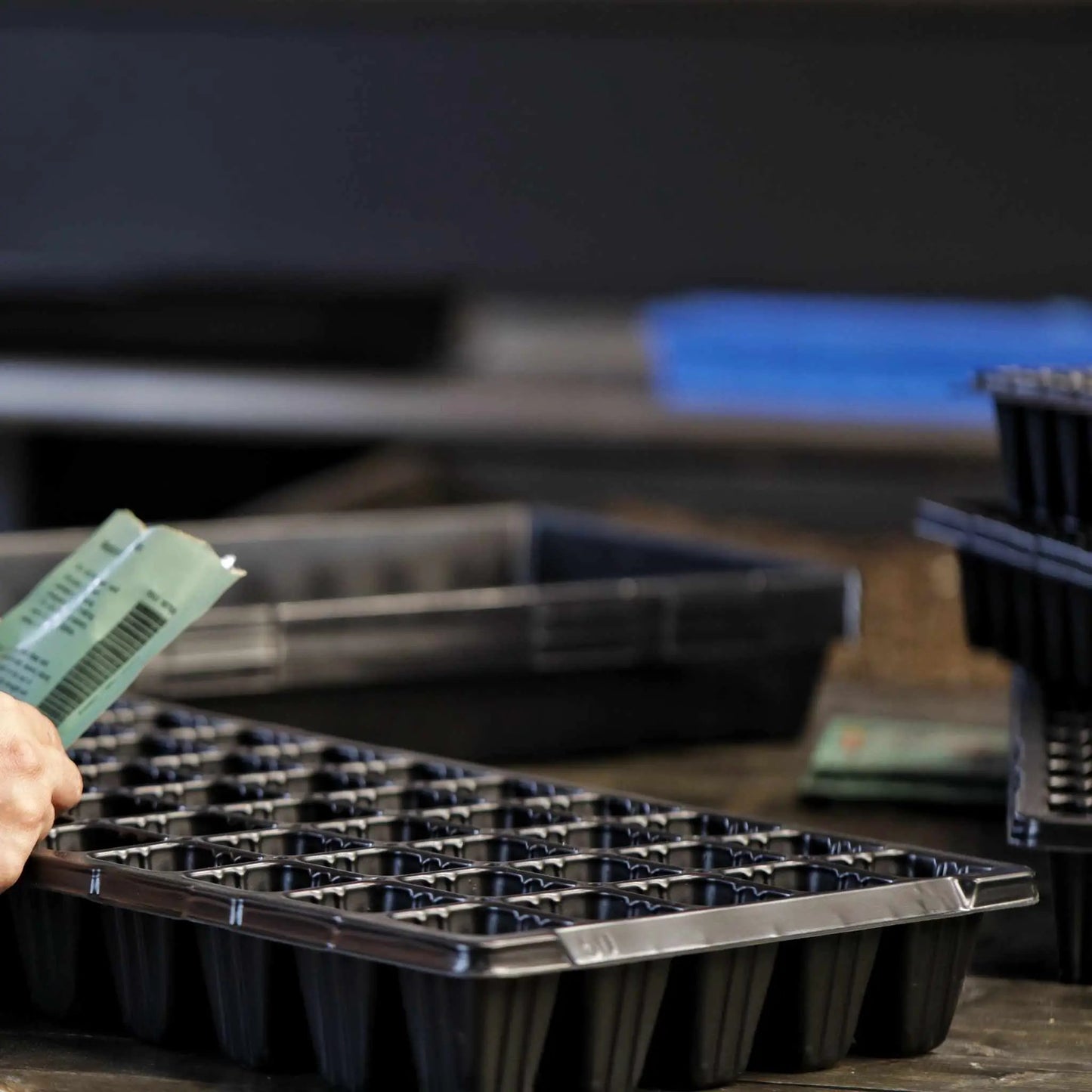 50 Cell Seed Tray Cell Plug Tray - Tampa Home & Garden Store