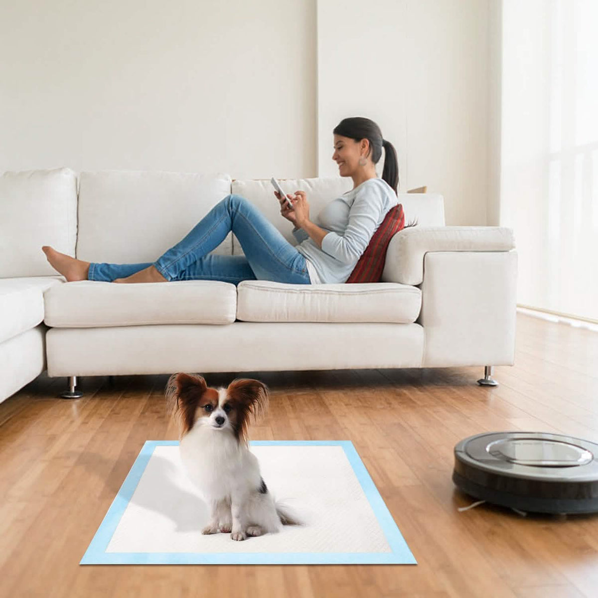 50-Piece Dog Training Pads DailySale; white pads with blue border on living room floor on Tampa Home & Garden Store