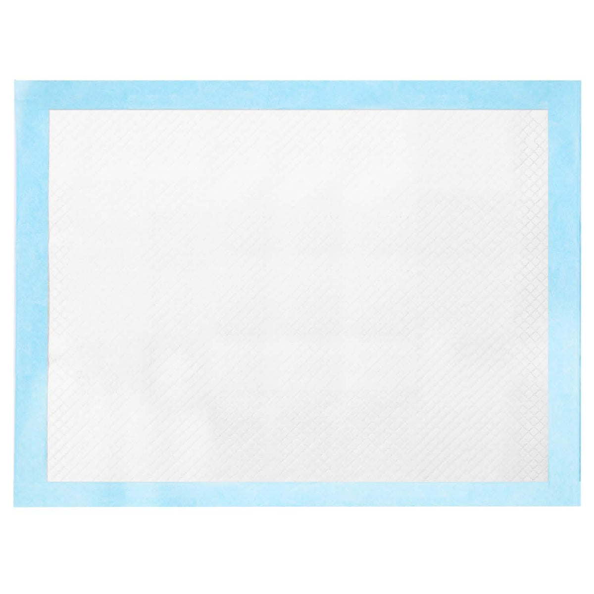DailySale 50-piece dog training pads, white absorbent surface with blue border on Tampa Home & Garden Store