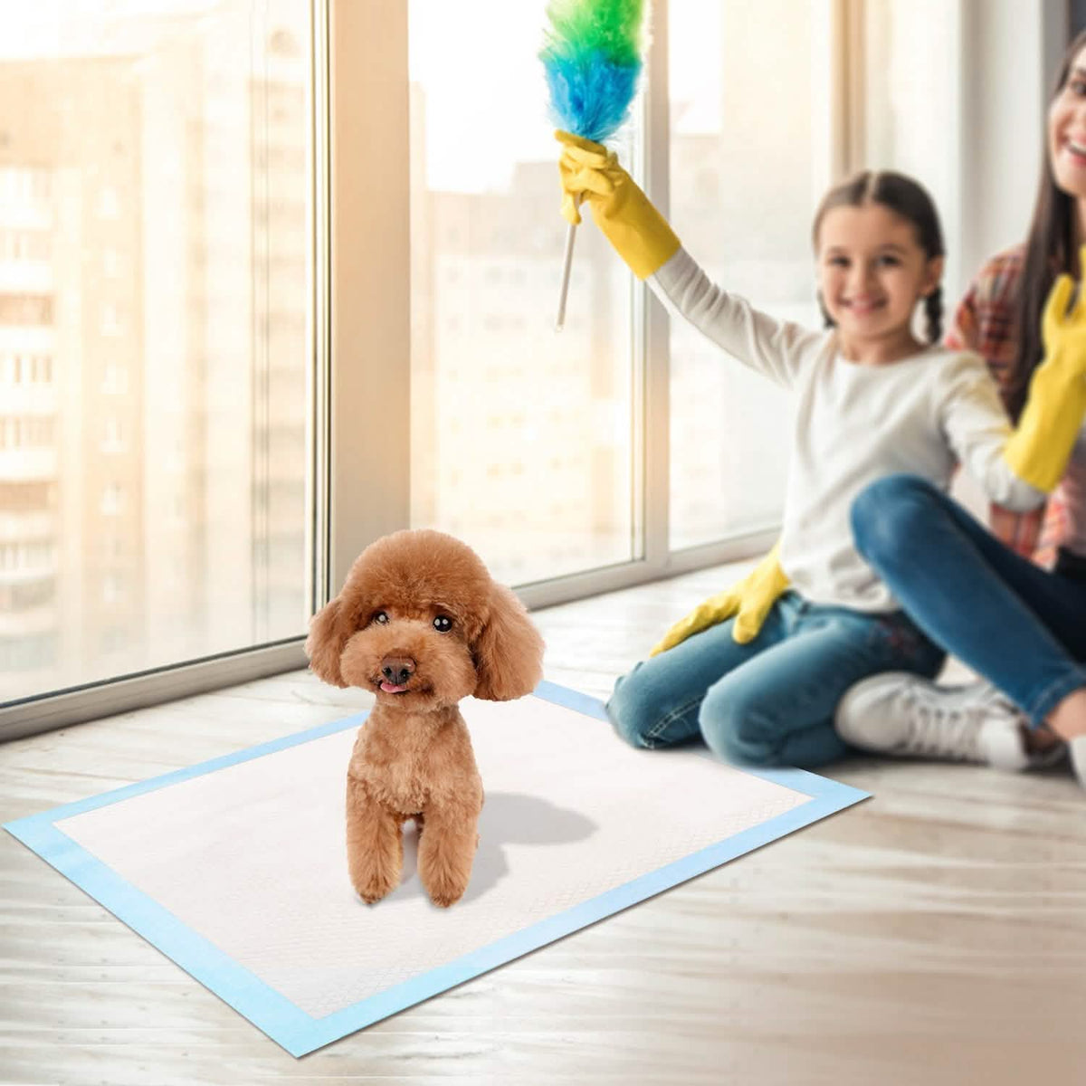 DailySale 50-piece dog training pads for pets, white absorbent pads with blue border on Tampa Home & Garden Store