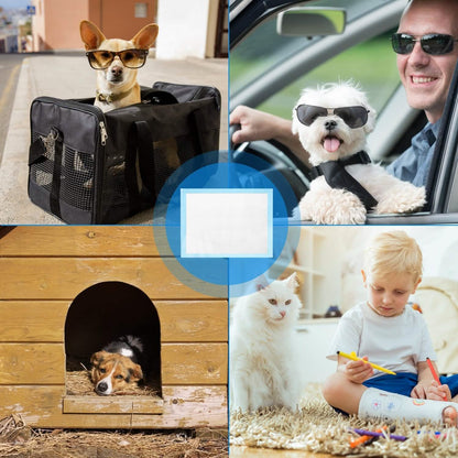 50-Piece DailySale Dog Training Pads collage with dogs in carrier, car, doghouse on Tampa Home & Garden Store