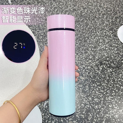 Stevvex 500ml gradient pink-to-blue stainless steel thermos with intelligent touch display on Tampa Home & Garden Store