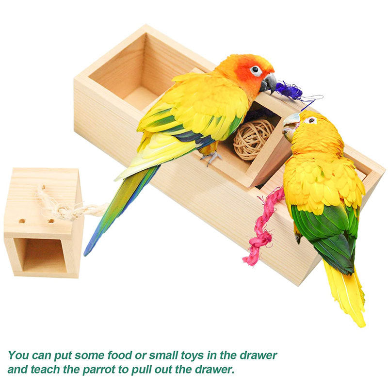Parrot toy puzzle for birds, wooden drawer-style training toy with two colorful parrots on Tampa Home & Garden Store