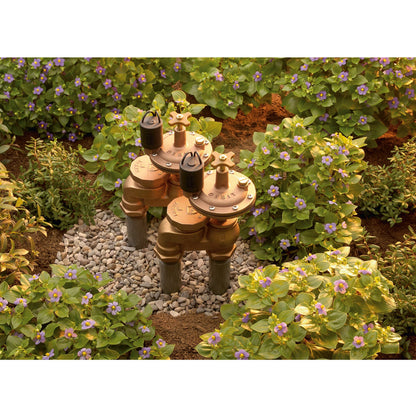 Orbit 3/4in FPT Auto Brass Anti-Siphon Valve with Flow Control set of 3 for irrigation on Tampa Home & Garden Store