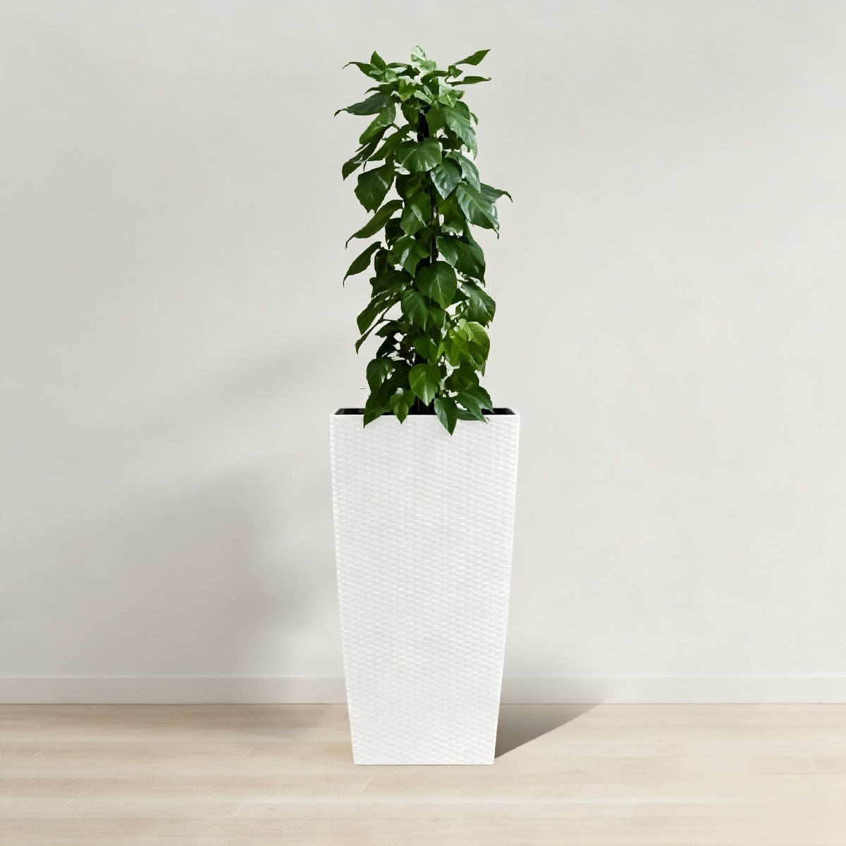 Indoor Outdoor Planter With Automatic Watering System by HouseOfZazla, white planter on Tampa Home & Garden Store