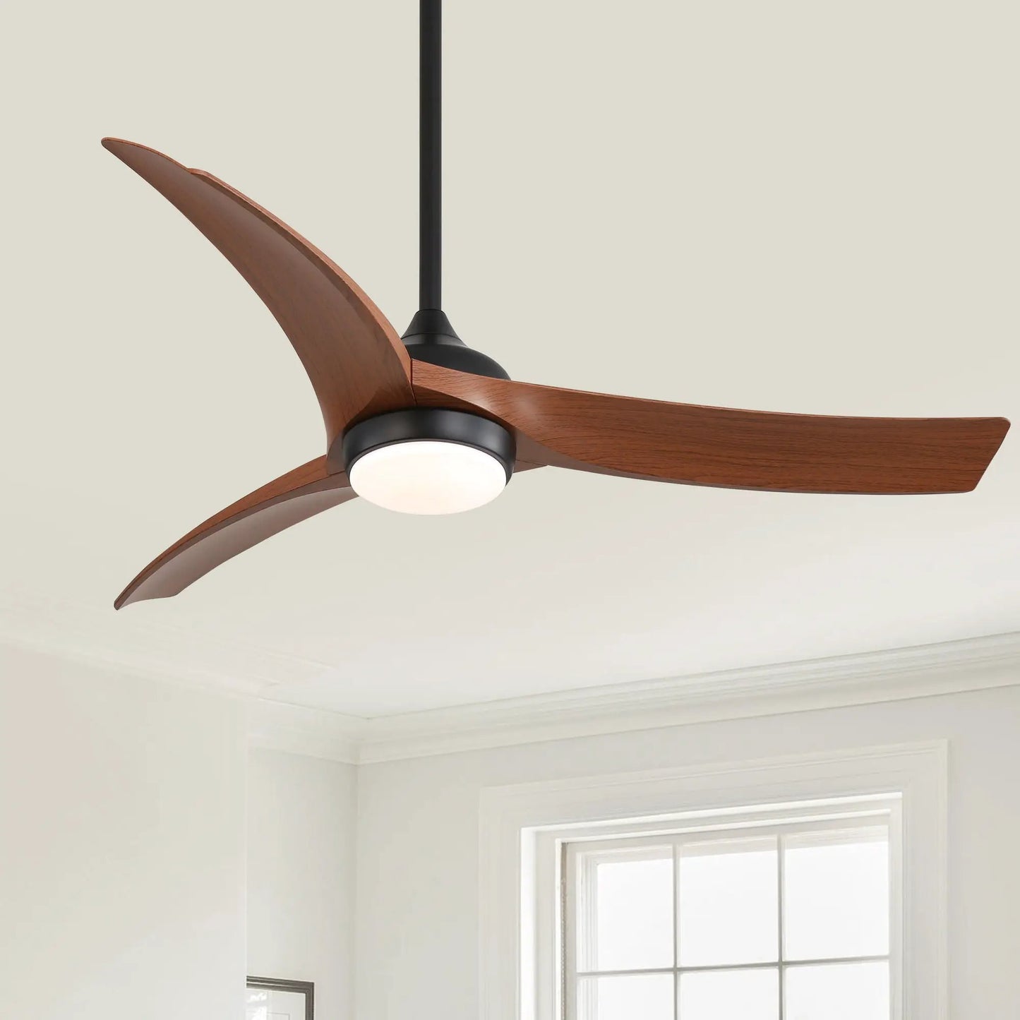Ceiling fan with 3 wood blades, black motor housing and downrod, frosted light on Tampa Home & Garden Store