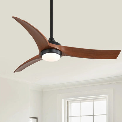 Ceiling fan with 3 wood blades, black motor housing and downrod, frosted light on Tampa Home & Garden Store