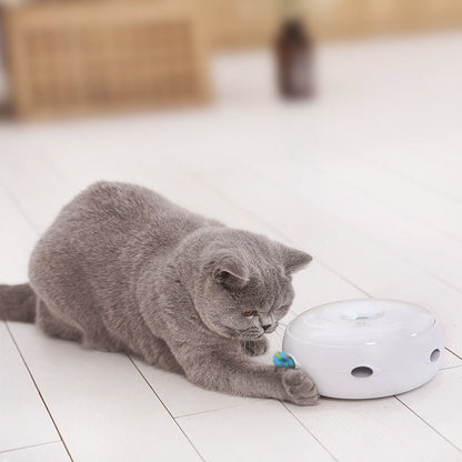 Electric cat toy with donut-style turntable; grey cat swats blue brush on white interactive toy on Tampa Home & Garden Store