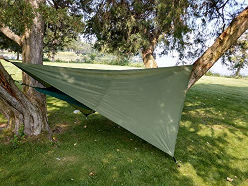 Hammock Tent by River Country Gear in olive green pitched between trees in a grassy park on Tampa Home & Garden Store