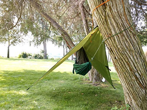 Hammock Tent by River Country Gear in green, suspended between trees over a grassy park on Tampa Home & Garden Store