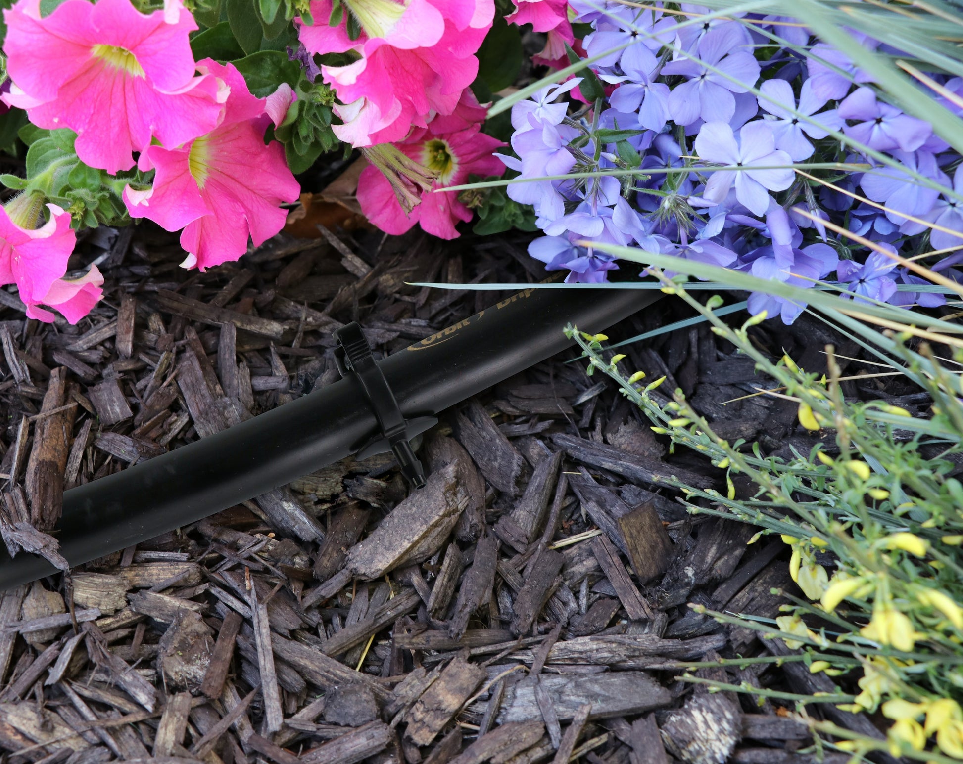 1/4 in drip self-piercing coupling on black irrigation tubing Orbit Irrigation on Tampa Home & Garden Store