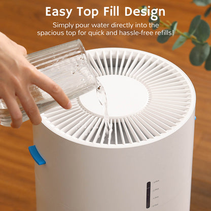 Purificador de aire y humidificador Ethereal Rain AEH300