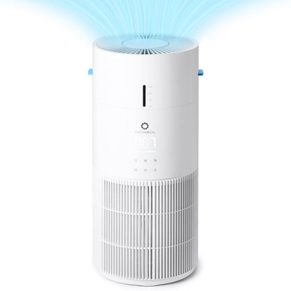 Purificador de aire y humidificador Ethereal Rain AEH300