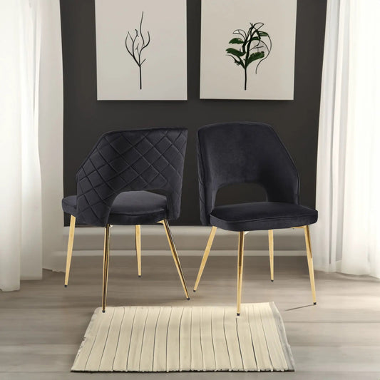 Black velvet dining chairs with gold metal legs, one chair with quilted backrest, set of 2 on Tampa Home & Garden Store