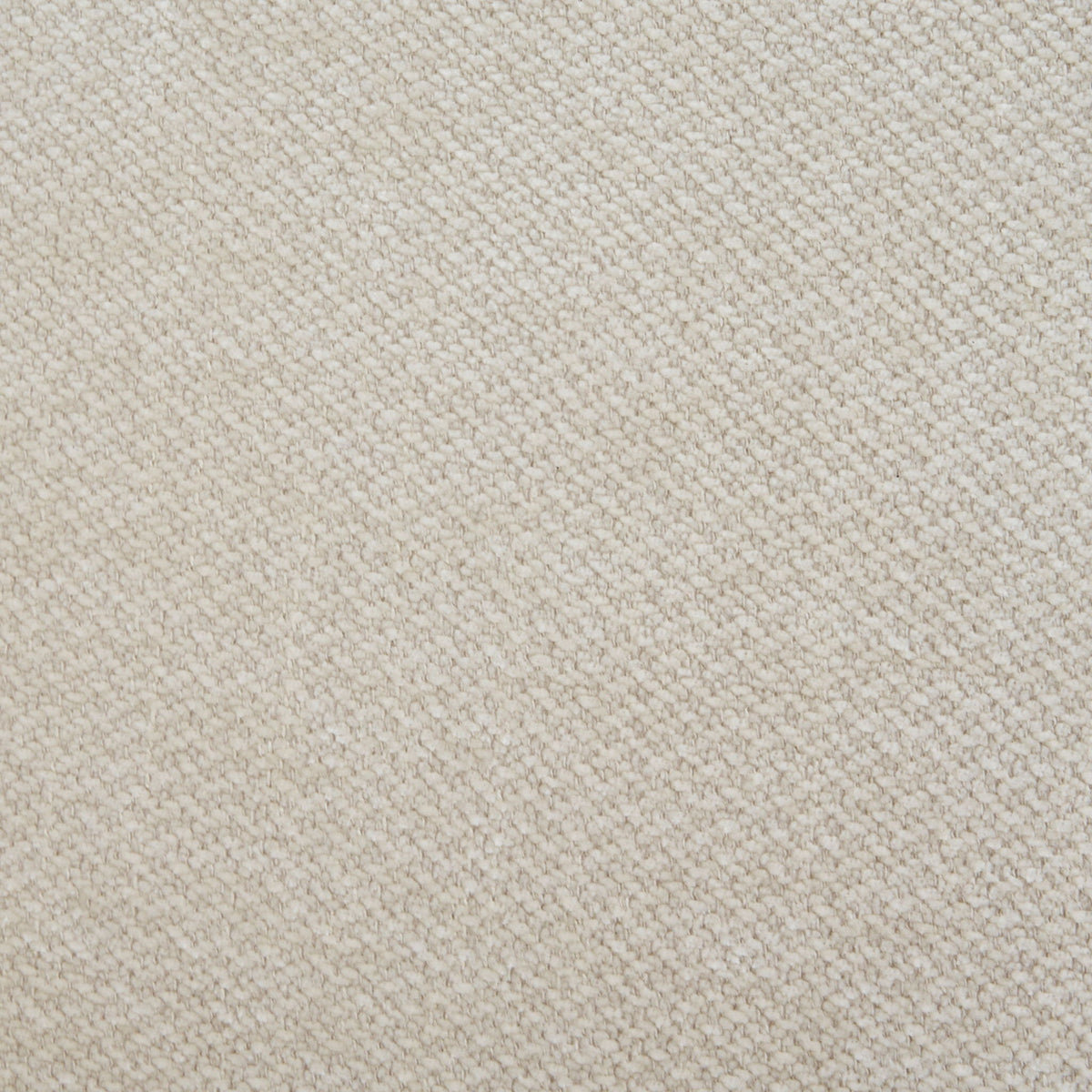 Beige carpet texture close-up with dense loop pile on Tampa Home & Garden Store