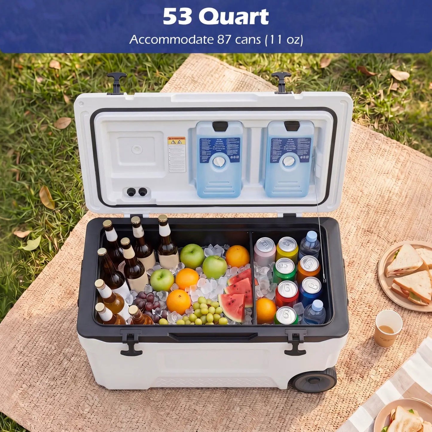 53 Quart Rolling Cooler With Fish Ruler Wheels