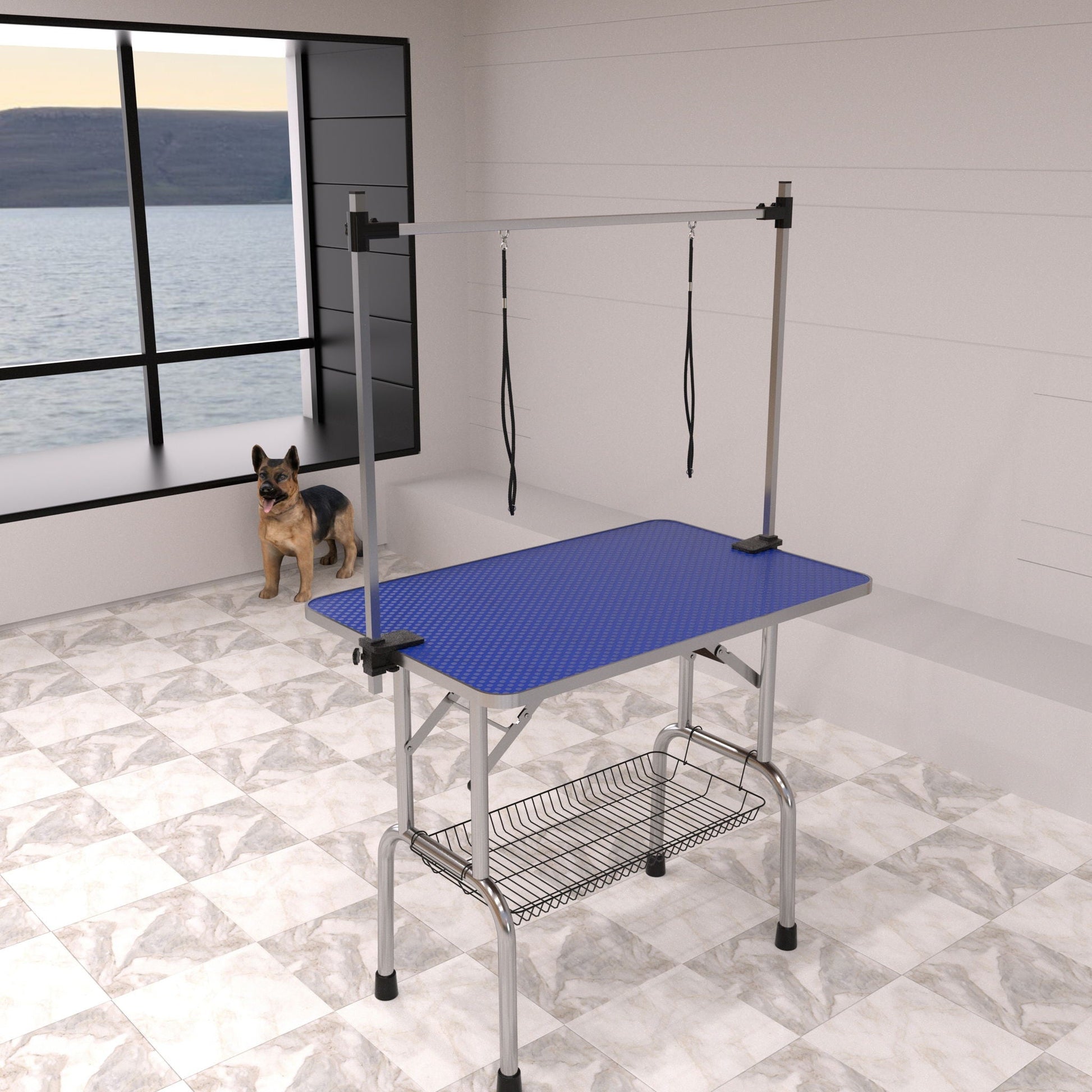 Grooming table for dogs with blue perforated top, adjustable arm and clamps, dog nearby on Tampa Home & Garden Store