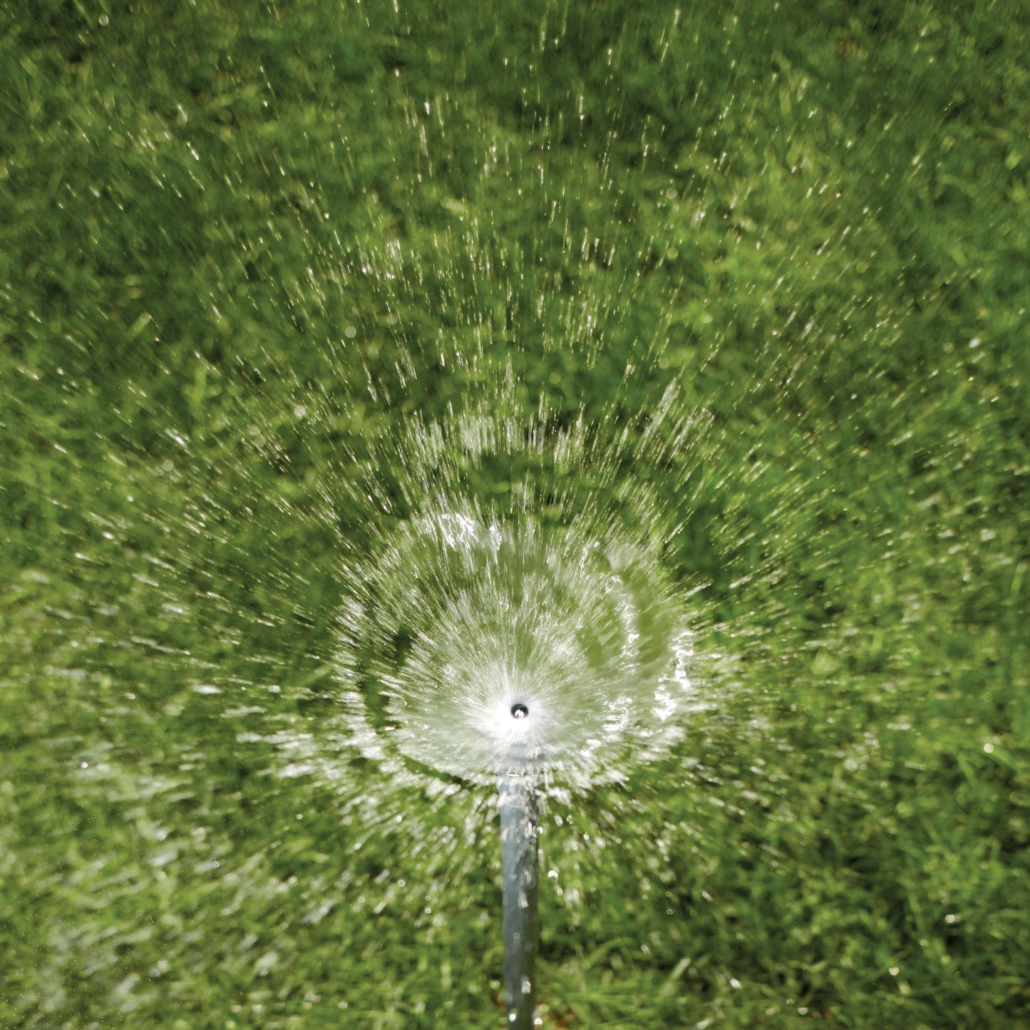 Shrub Head w/Full Pattern Insert Nozzle by Orbit Irrigation spraying water over green turf on Tampa Home & Garden Store