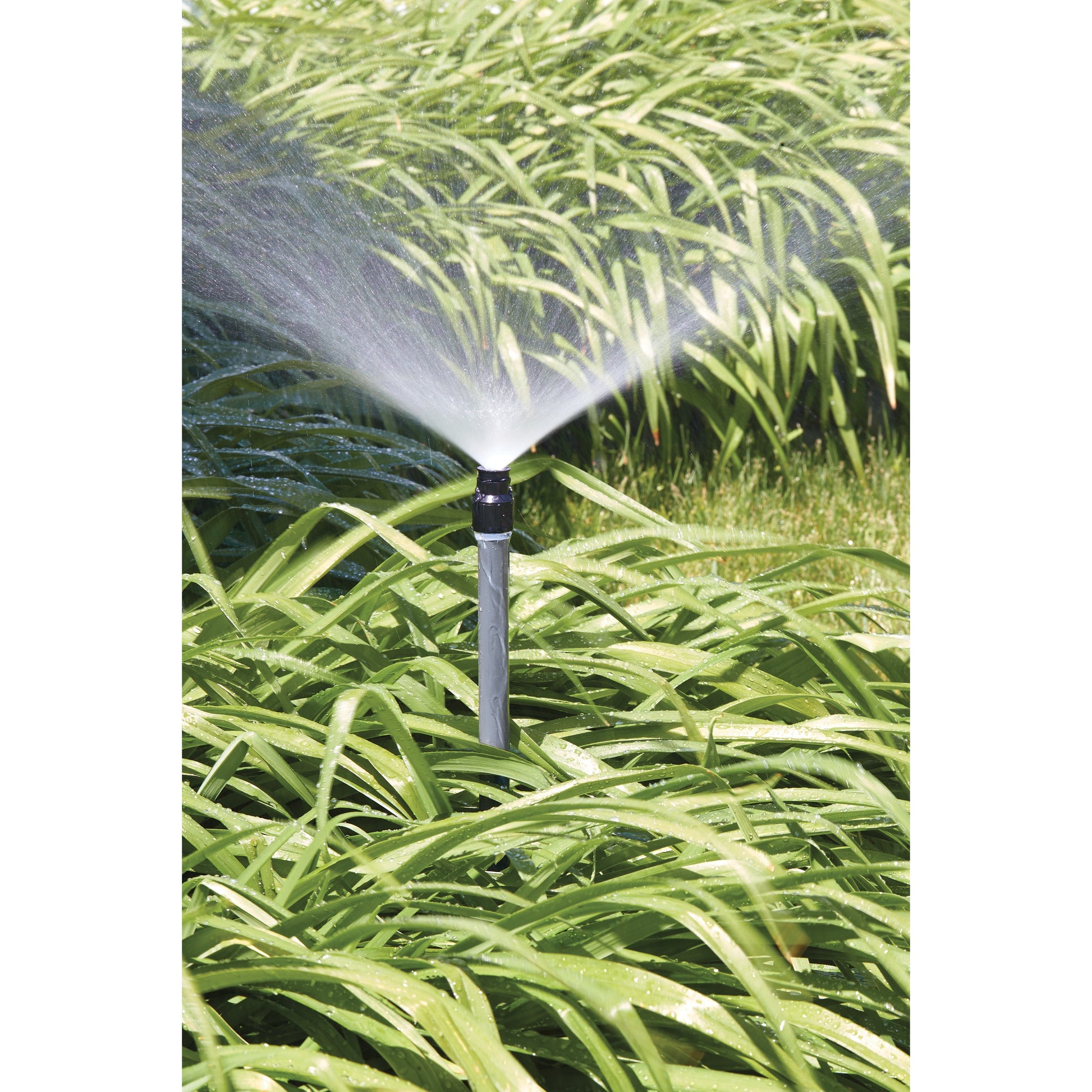 Shrub head with full pattern insert nozzle for underground irrigation Orbit black plastic on Tampa Home & Garden Store