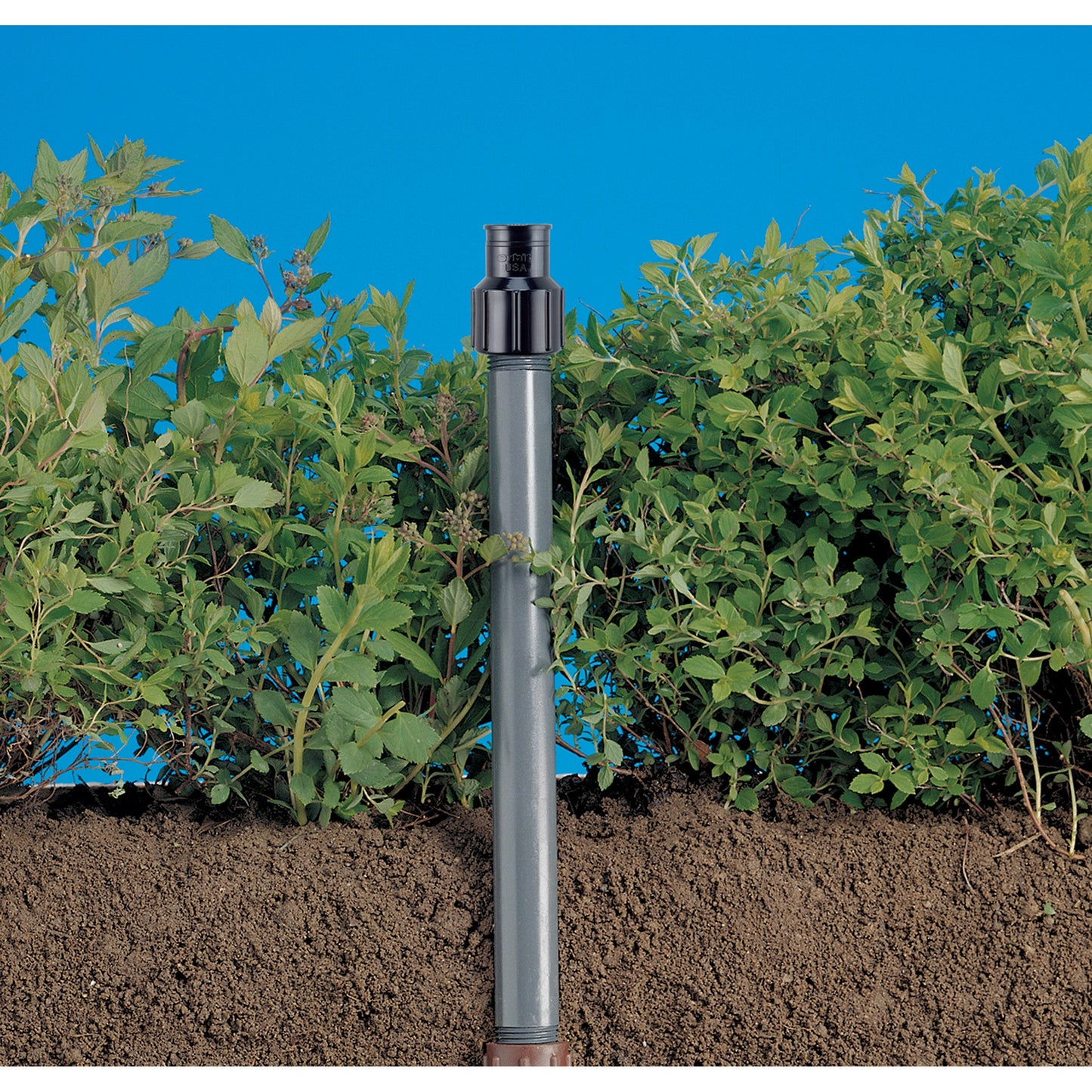 Shrub Head w/Full Pattern Insert Nozzle, black plastic, Orbit Irrigation underground irrigation on Tampa Home & Garden Store