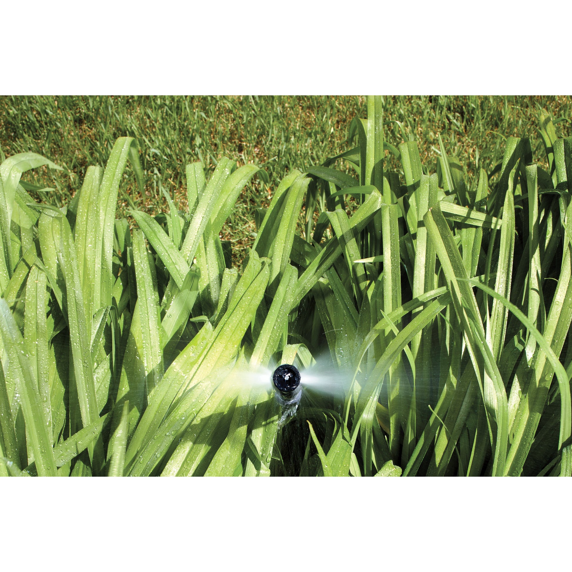 Shrub Head w/Ctr Strip Pattern Insert Nozzle Orbit Irrigation sprinkler among green leaves on Tampa Home & Garden Store