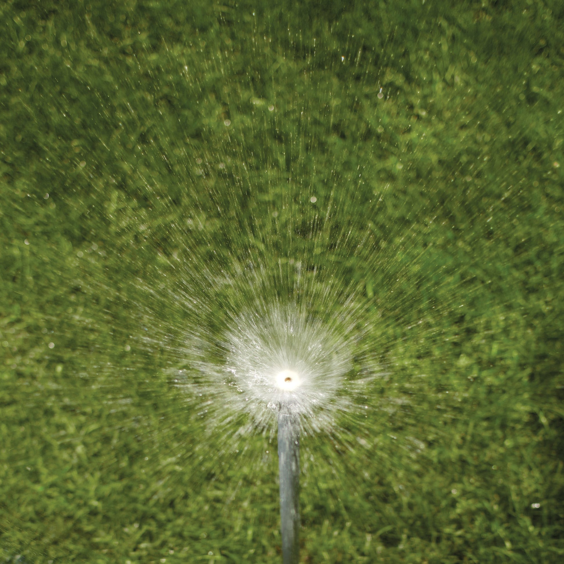 Shrub head sprinkler brass full pattern nozzle sprays water across lawn on Tampa Home & Garden Store