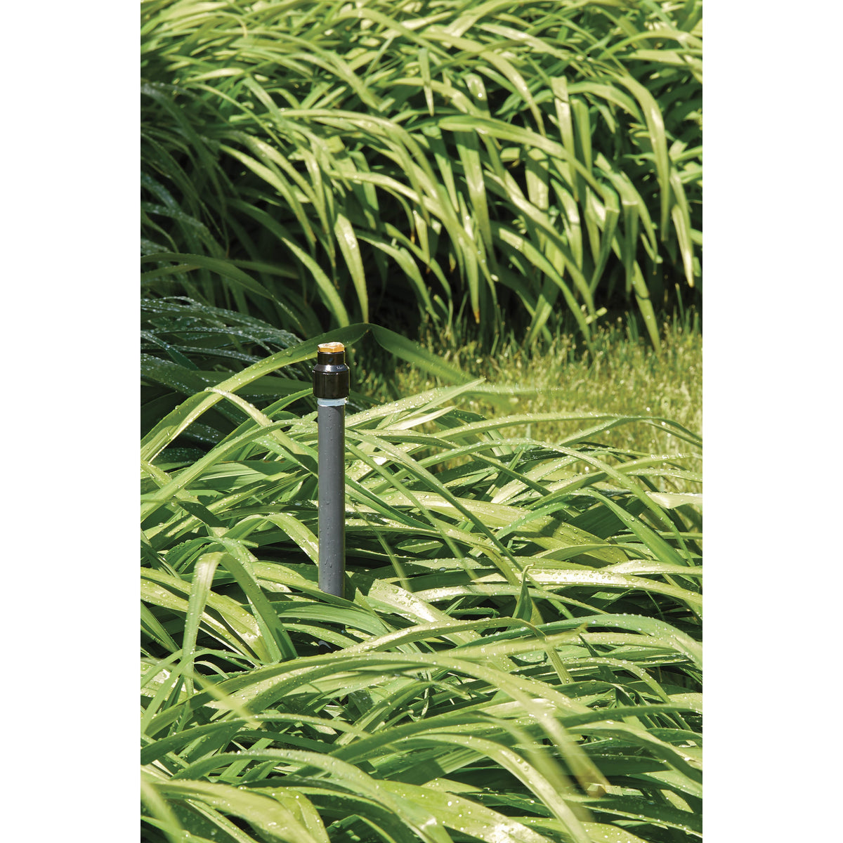 Shrub Head w/ Brass Full Pattern Nozzle sprinkler head Orbit Irrigation underground irrigation on Tampa Home & Garden Store