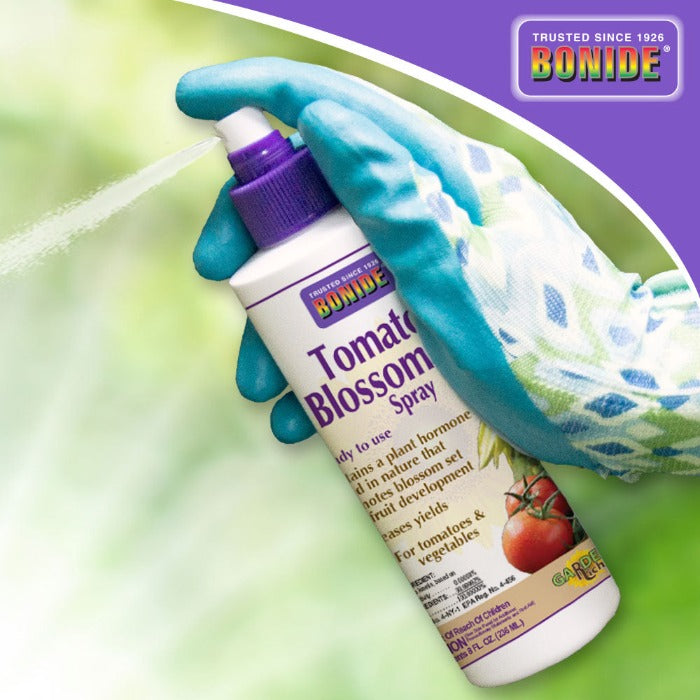 Bonide Tomato & Blossom Set Spray 8 oz bottle with purple nozzle on Tampa Home & Garden Store