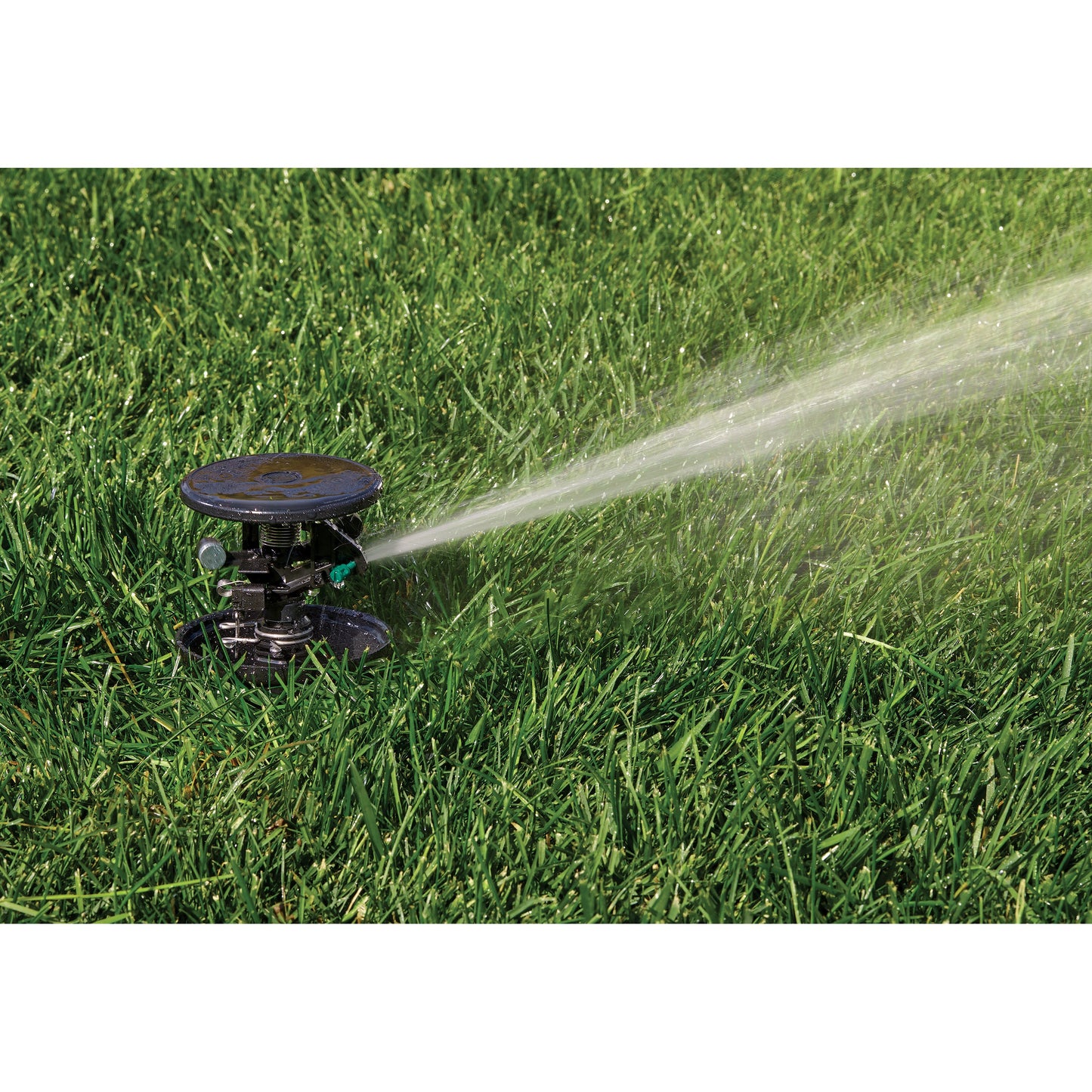 Pulse Pop-Up Impact Rotor Sprinkler 55200 canister by Orbit Irrigation, black housing on Tampa Home & Garden Store