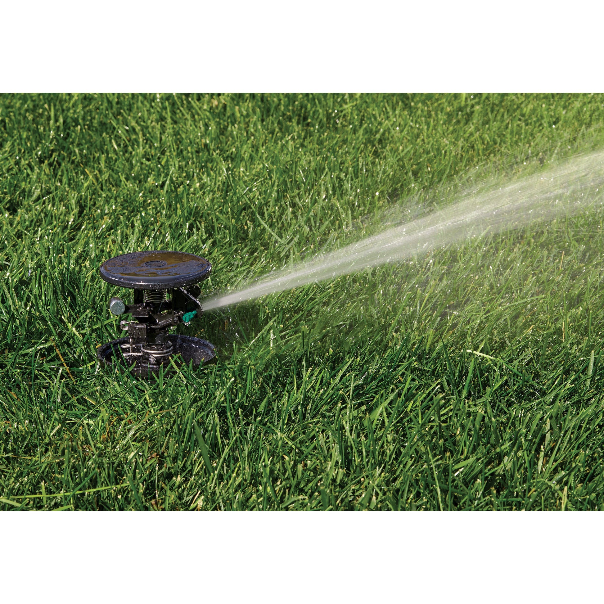 Pulse Pop-Up Impact Rotor Sprinkler 55200 canister by Orbit Irrigation, black housing on Tampa Home & Garden Store