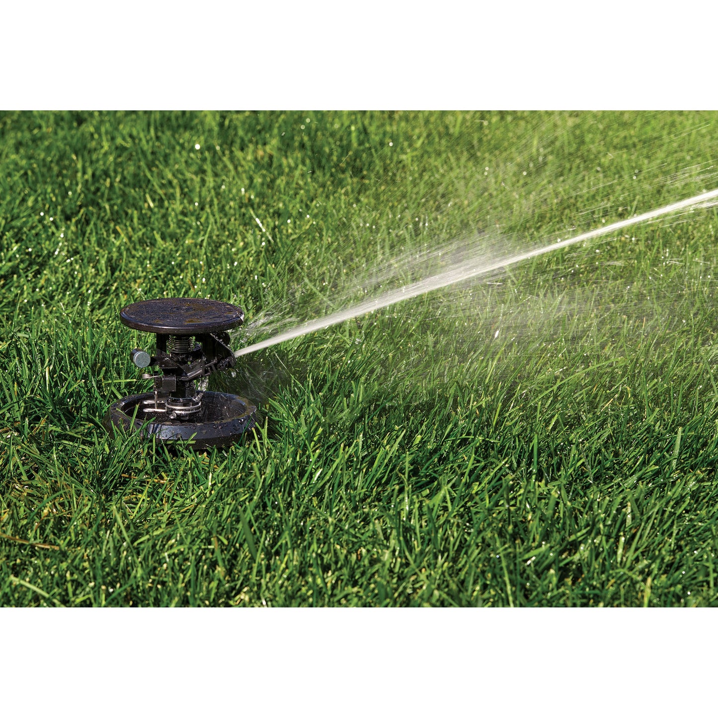 Orbit Pulse XL Pop-Up Impact Rotor Sprinkler in Canister spraying lawn irrigation on Tampa Home & Garden Store
