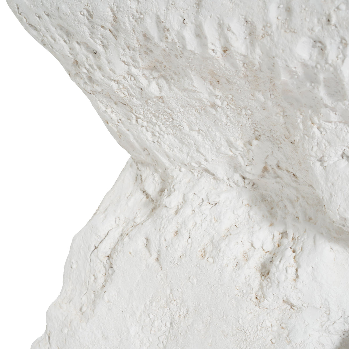 Close-up of a white, rough stone surface with pockmarked texture on Tampa Home & Garden Store