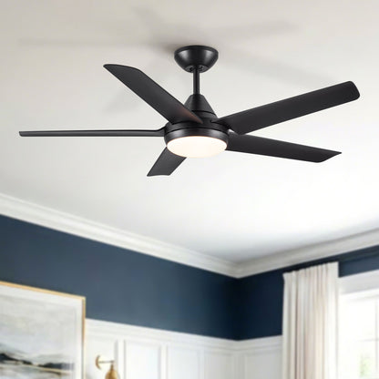 Ceiling fan with five blades in black finish and integrated light fixture on Tampa Home & Garden Store