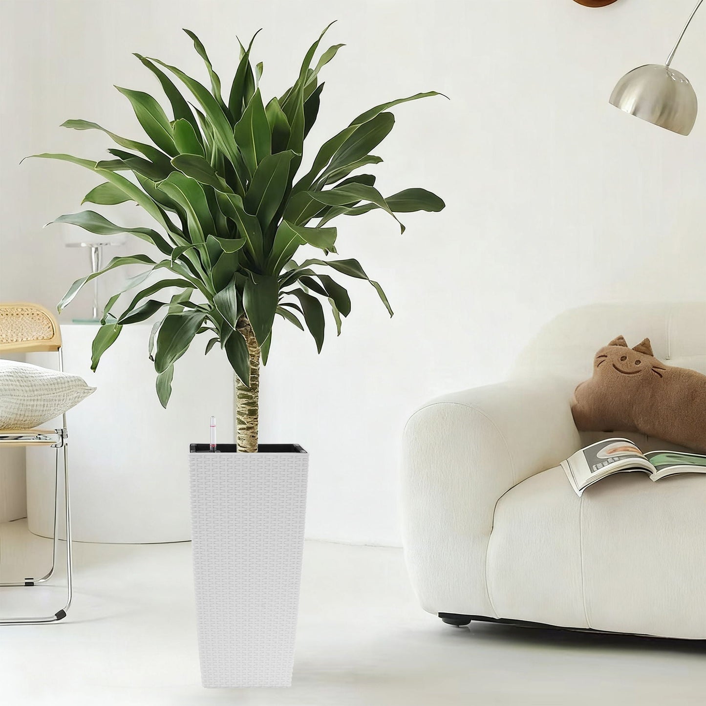 Planter With Automatic Watering System white woven tall planter with green Dracaena HouseOfZazla on Tampa Home & Garden Store