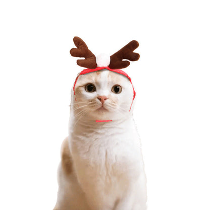 Cat costume reindeer headband by Pet Zen, brown antlers with red trim for Christmas on Tampa Home & Garden Store