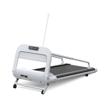 2025 New Quiet Smart Pet Treadmill by HouseOfZazla, white frame with gray running belt on Tampa Home & Garden Store